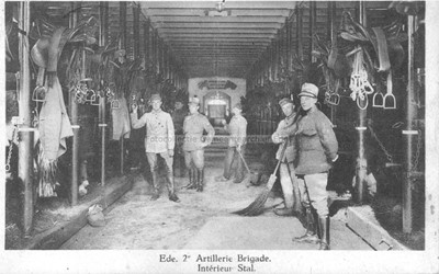 <p>Interieur van één van de paardenstallen van de artilleriebrigade op de Arthur Koolkazerne (beeldbank gemeentearchief Ede). </p>
